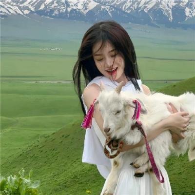 芭比之摇滚公主训练营